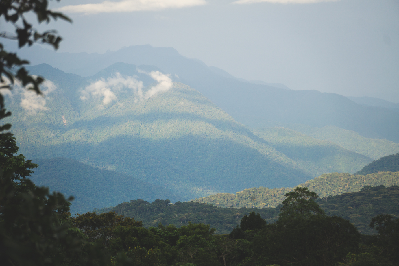 Pied de montagne amazonien - Putumayo Colombie - Voyage Nature - Écotourisme - Colombie Célestine
