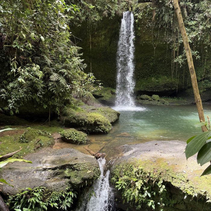Cascade Portal del sol Amazonie - Voyage Nature Colombie