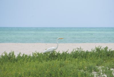 Page à Mayapo, RIohacha, Guajira - Voyage nature - Ecotourisme - Colombie Célestine