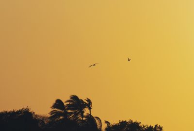 Hôtel Punta Faro, île Múcura, Colombie, Voyage Nature, Colombie Célestine